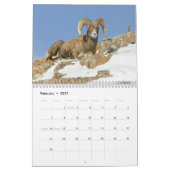 Calendrier de la faune de Yellowstone (Feb 2027)