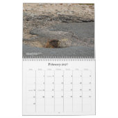 Calendrier de la faune du Colorado (Feb 2027)