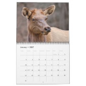 Calendrier de la faune du Tennessee 2026 - 12 mois (Jan 2027)