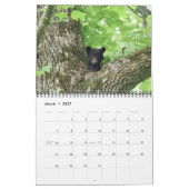 Calendrier de la faune du Tennessee 2026 - 12 mois (Mar 2027)