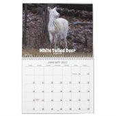 Calendrier de la faune du Wisconsin 2026 (Jan 2027)
