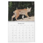 Calendrier de la faune et des oiseaux (Jan 2027)