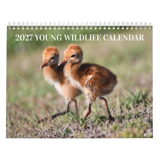 Calendrier de la faune jeune 2027 (Protection)