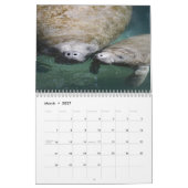 Calendrier de la faune jeune 2027 (Mar 2027)