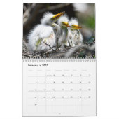 Calendrier de la faune jeune 2027 (Feb 2027)