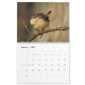 Calendrier de la faune, oiseaux chanteurs, oiseaux (Feb 2027)