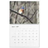 Calendrier de la faune, oiseaux chanteurs, oiseaux (Mar 2027)