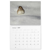 Calendrier de la faune, oiseaux chanteurs, oiseaux (Jan 2027)