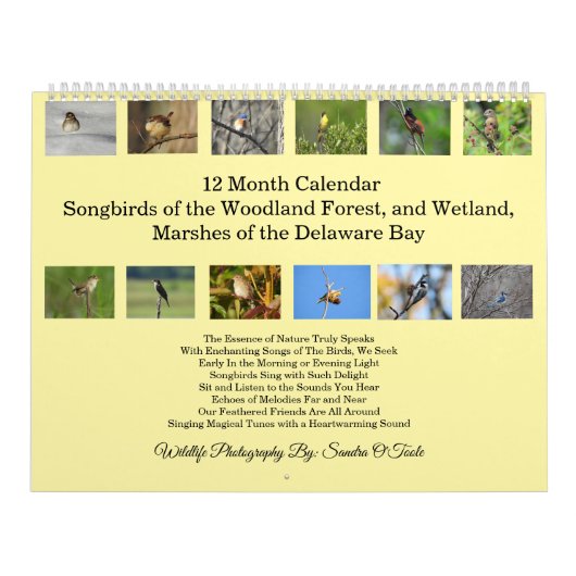 Calendrier de la faune, oiseaux chanteurs, oiseaux (Protection)