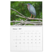 Calendrier de la faune, Oiseaux d'eau, Héron (Feb 2027)