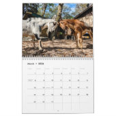 Calendrier de la ferme de paix (Mar 2026)