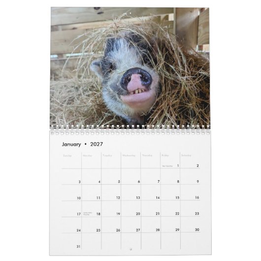 Calendrier de la ferme de paix (Jan 2027)