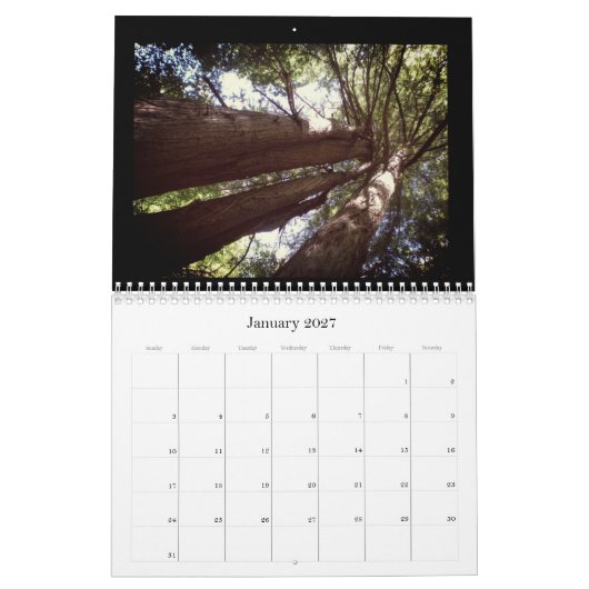 Calendrier de la forêt de séquoias (Jan 2027)