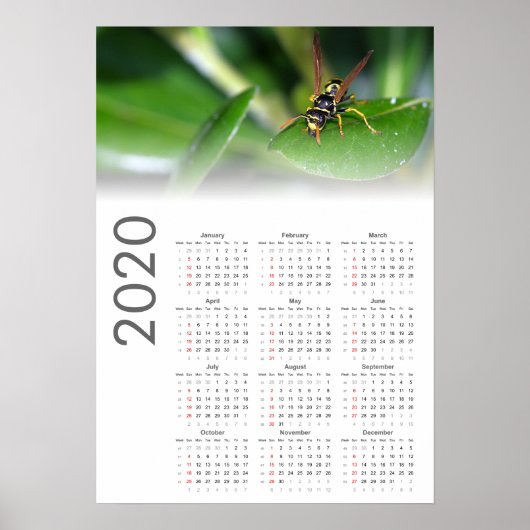 Calendrier de la guêpe 2020 Poster (Devant)