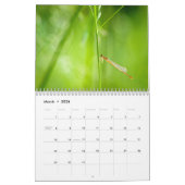 Calendrier de la libellule 2014 et du Damselfly (Mar 2026)