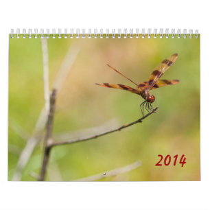 Calendrier de la libellule 2014 et du Damselfly