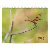 Calendrier de la libellule 2014 et du Damselfly (Protection)