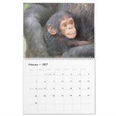 Calendrier de la maman et des bébés animaux (Feb 2027)