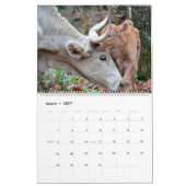 Calendrier de la maman et des bébés animaux (Mar 2027)