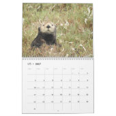 Calendrier de la Manche de Loutres de mer #4 (Jan 2027)