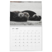 Calendrier de la Manche de Loutres de mer #4 (Mar 2027)