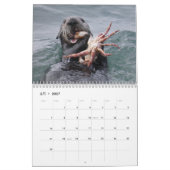 Calendrier de la Manche de Loutres de mer #4 (Feb 2027)