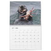 Calendrier de la Manche de Loutres de mer #4 (Feb 2026)