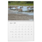 Calendrier de la manie 2014 de zèbre (Mar 2027)