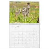 Calendrier de la manie 2014 de zèbre (Jan 2027)