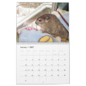 Calendrier de la marmotte Clara's Corner 2026 F (Jan 2027)