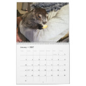 Calendrier de la marmotte Clara's Corner 2026 G (Jan 2027)