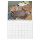 Calendrier de la marmotte Clara's Corner 2026 G (Feb 2027)
