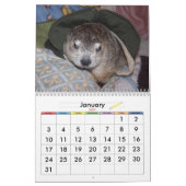 Calendrier de la marmotte de Clara 2026 A (Jan 2027)