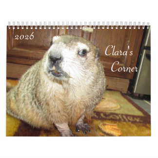 Calendrier de la marmotte de Clara 2026 B