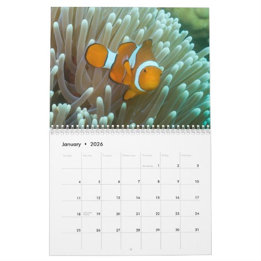 Calendrier de la mer 2019 de corail (Jan 2026)