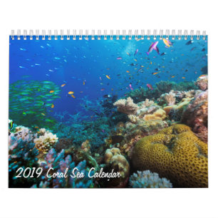 Calendrier de la mer 2019 de corail