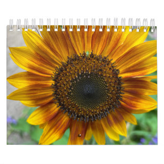 Calendrier de la nature