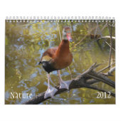 Calendrier de la nature 2012 (Protection)