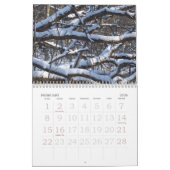 Calendrier de la nature 2013 (Feb 2026)