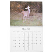 Calendrier de la nature Cerf à queue blanche (Mar 2027)