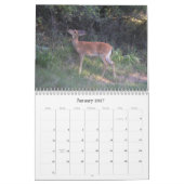 Calendrier de la nature Cerf à queue blanche (Jan 2027)