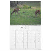 Calendrier de la nature Cerf à queue blanche (Feb 2027)