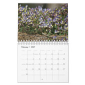 Calendrier de la nature chypriote (Feb 2027)