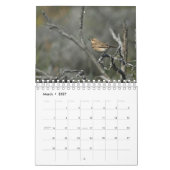 Calendrier de la nature chypriote (Mar 2027)