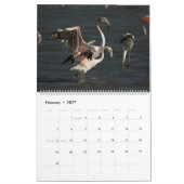 Calendrier de la nature chypriote (Feb 2027)