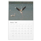 Calendrier de la nature chypriote (Feb 2027)