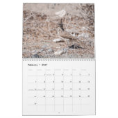 Calendrier de la nature de Chypre (Feb 2027)