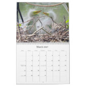 Calendrier de la nature et de la faune (Mar 2027)