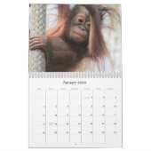 Calendrier de la nature et de la faune (Jan 2026)