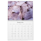 Calendrier de la photographie 2012 de Mallory (Jan 2026)